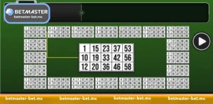Multi Mega Bingo - The Gold Standard of High-Density