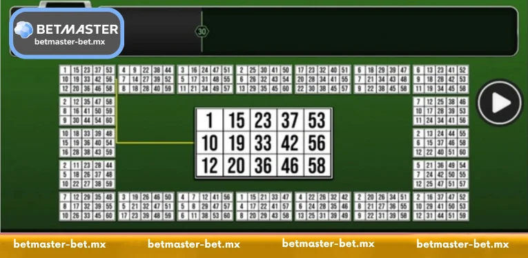 Multi Mega Bingo - The Gold Standard of High-Density