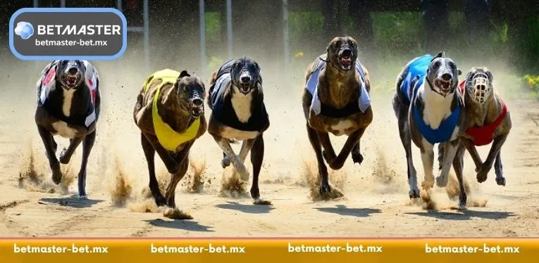 Multi-Race Parlays and Accumulator Options