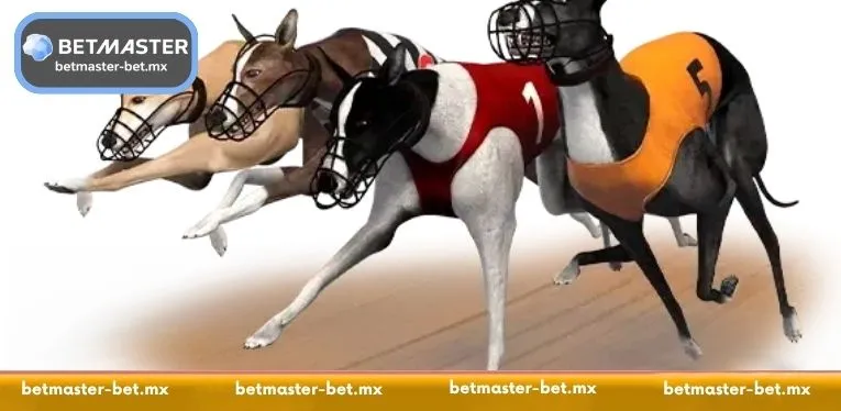 The Historical Evolution of Virtual Dog Racing Systems