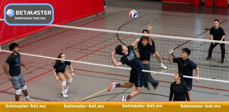 Volleyball Betting - Expert Wagers and High-Stakes Action